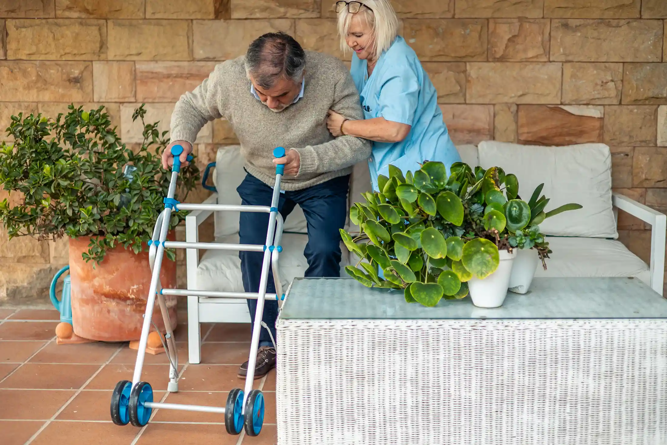 Disability-2